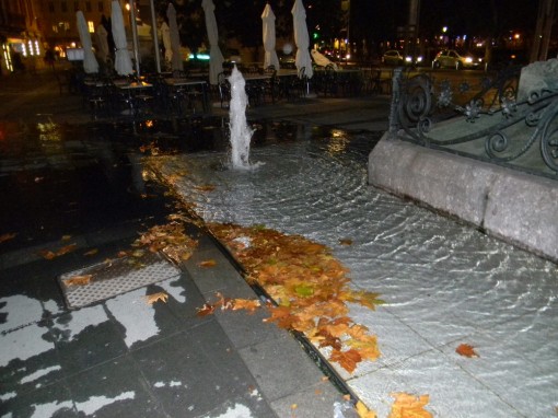 piazza cermenati fontana foglie (1)