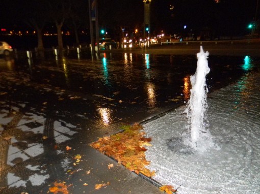piazza cermenati fontana foglie (2)