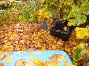 Via Masaccio televisori