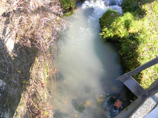 Torrente Gerenzone bianco (1)