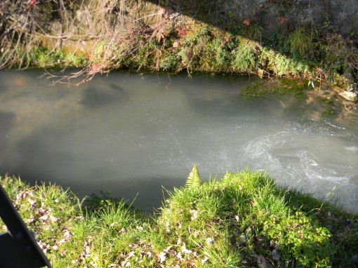 Torrente Gerenzone bianco (2)