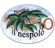LOGO NESPOLO