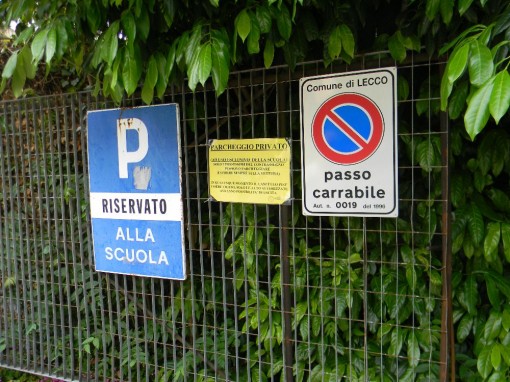 Giungla di via Castagnera (20)