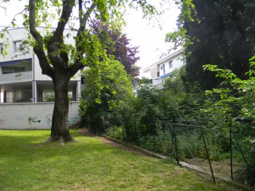 Giungla di via Castagnera (24)