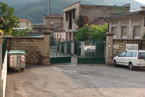 Canile di Lecco
