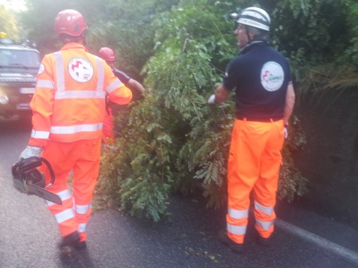 barzago protezione civile