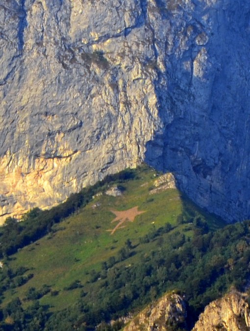 Stella Alpina Grigna