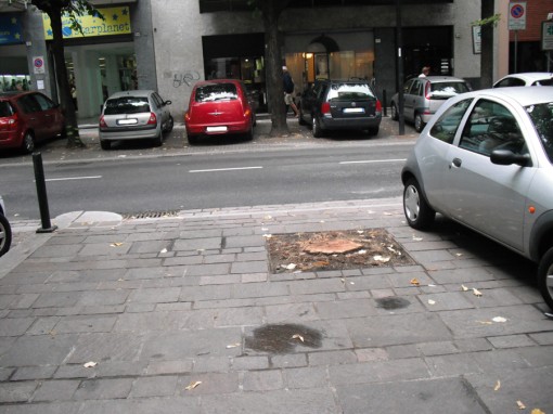 tiglio viale turati 1