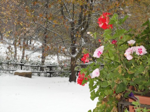 Neve Resinelli ottobre 2012 (3)