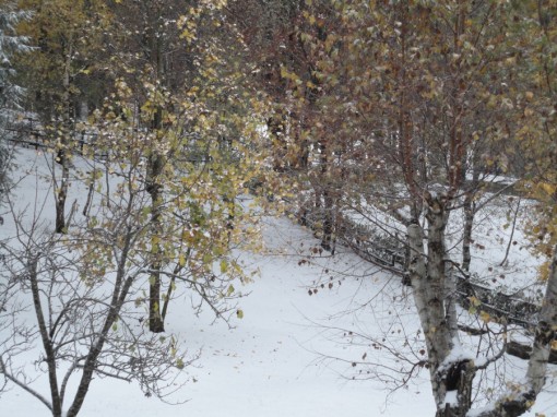 Neve Resinelli ottobre 2012 (4)