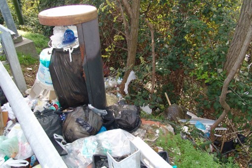 Rifiuti sulla Statale 36 (27)