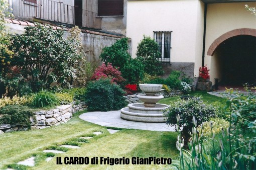 IL CARDO di Frigerio GianPietro IL CARDO di Frigerio GianPietro