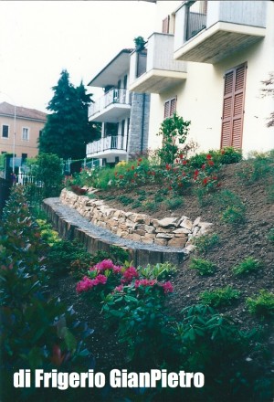 IL CARDO di Frigerio GianPietro IL CARDO di Frigerio GianPietro