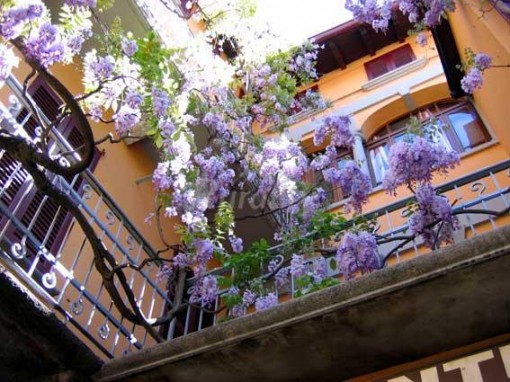 albergo_esposito glicine