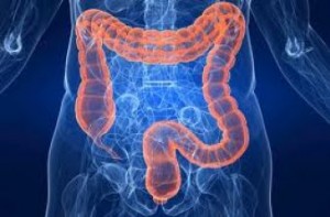 screening colon_retto