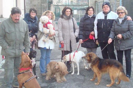 virginia tentori incontra le associaizoni animaliste della provincia