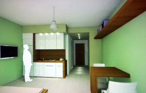 Progetto Frassoni 21 marzo 2013 (18)