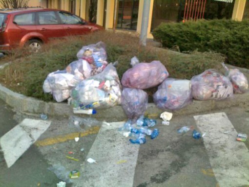 Via Solferino, Rifiuti (3)