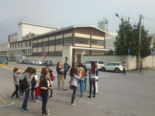 Studenti zebra corso fotografico