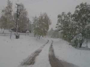 Neve nevicata ai Piani Resinelli 24 maggio 2013 (1)