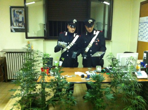 sequestro marjuana calolzio