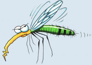 zanzara