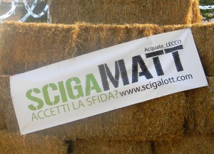 Acquate-Scigamatt logo