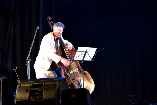 Jazz festival - Mandello - 7 e 8 giugno 2013 (14)
