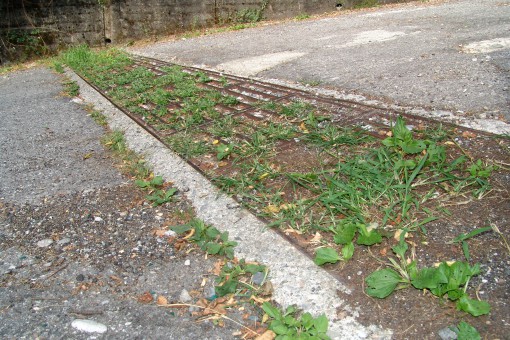 grata ostruita - Rancio