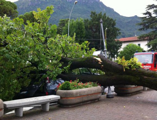 Mandello_tromba_aria_2013_4