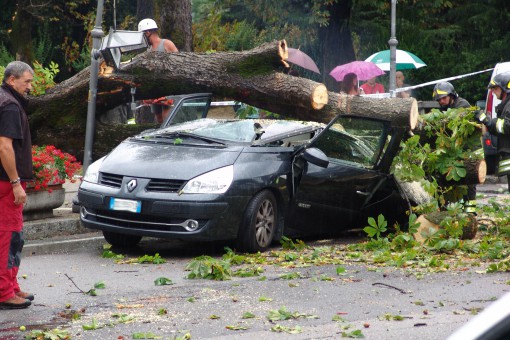 vento albero Mandello (1)