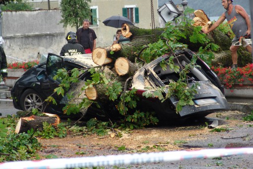 vento albero Mandello (3)