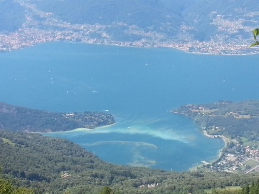 GOLFO PIONA ALGHE (1)