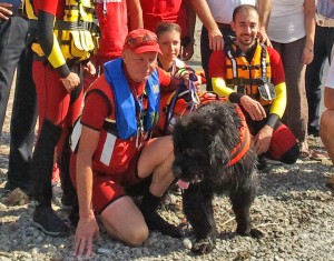 Lario Sicuro - Cani bagnino a Colico (3)