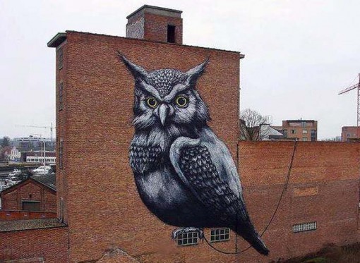 roa