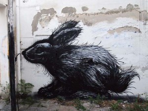 roa1