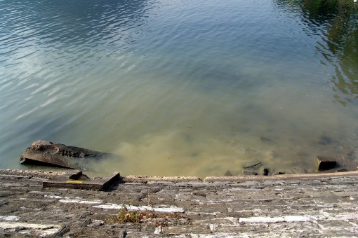 sversamento fogna lungo lago (2)