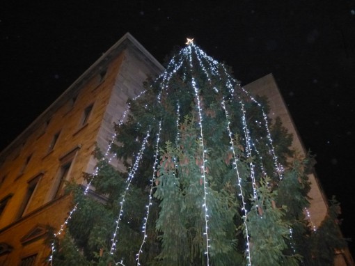 Albero Natale 2013 (11)