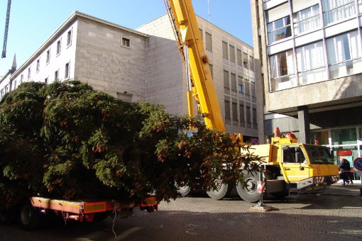 Albero_Natale_Cancro_Primo_Aiuto_2013 (21)