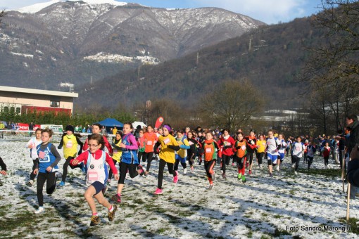 Cortenova_2013_campestre_regionale_Csi (2)