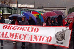 manifestazione 15 novembre 2013- sciopero generale (12)