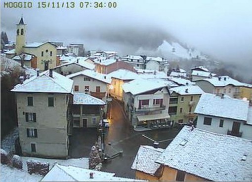 neve Moggio