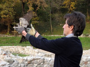 wwf liberazione rapaci