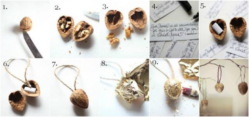 1425797_10151737831490025_180169055_n