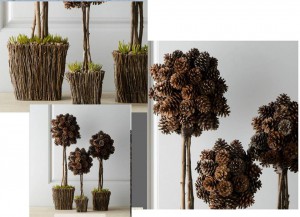 1450678_10151741831205025_737728536_n