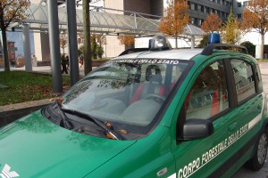 Forestale - Ospedale