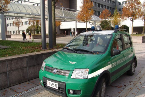 Forestale - Ospedale Lecco (2)