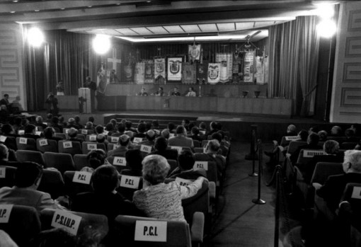 Momenti in lobardia mostra 2013 (2)