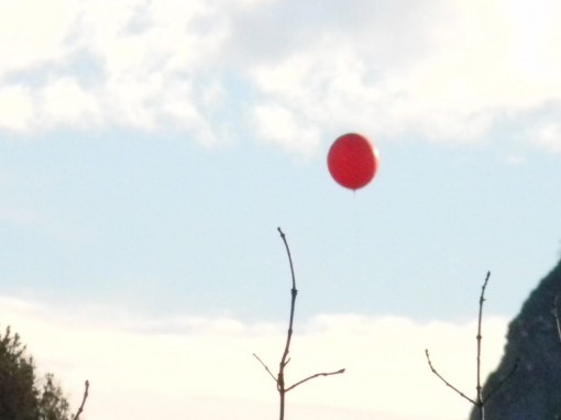 Pallone Telecom Piani Resinelli (10)