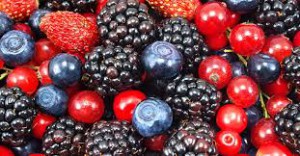 frutti di bosco